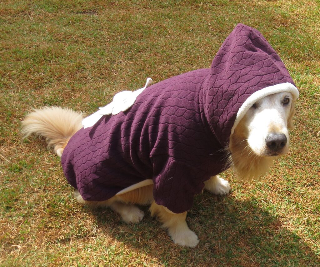 roupinha de cachorro